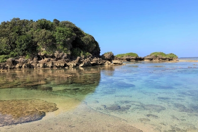 xpYul2PqYaq1N005naDo.jpg?w=940&h=940