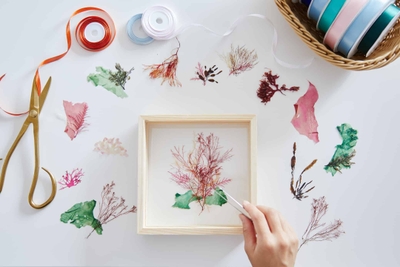 xpcVp1Olmm3gfGo3niIL.jpg?w=940&h=940