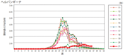 xpfZcpviliDRDPaJVbQk.png?w=940&h=940