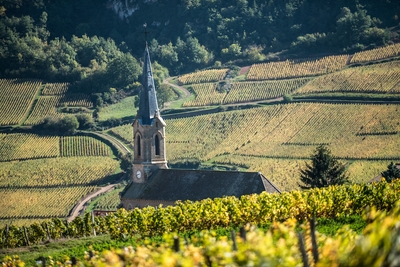 xpkINiqAGRcoUoj9uDE2.jpg?w=940&h=940