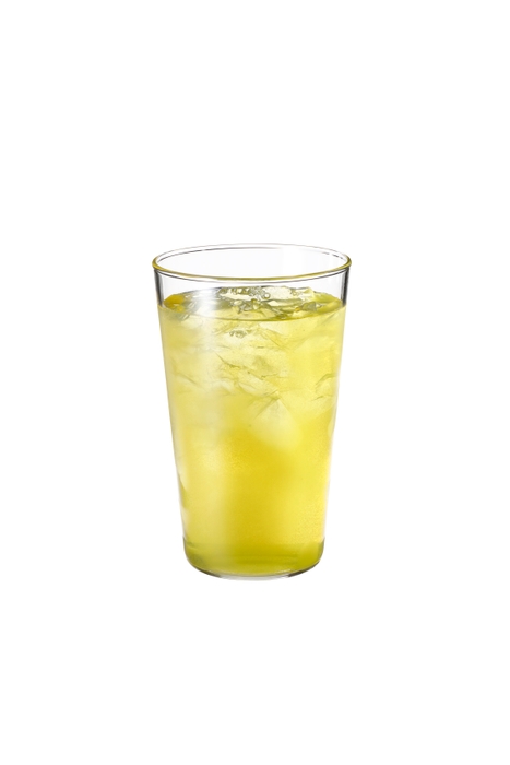 <凍頂烏龍茶 イメージ画像>