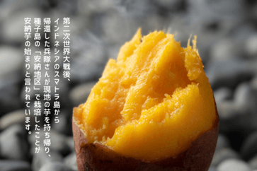 xqPmdzfLEeiQofRBbuDy.png?w=940&h=940