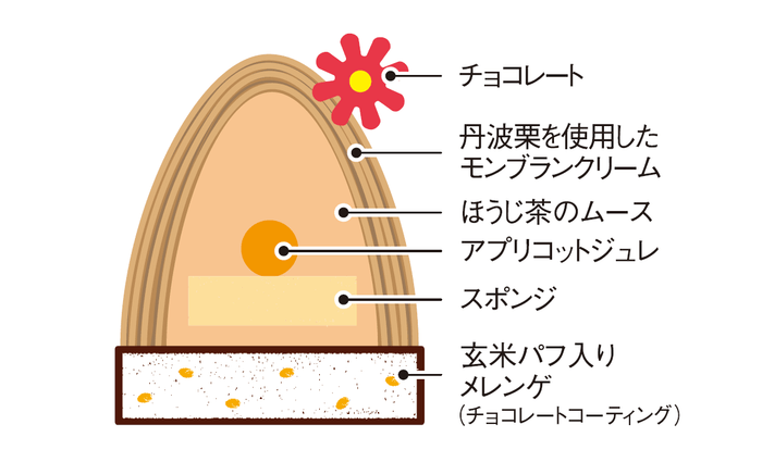 ほうじ茶/断面図