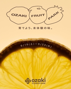 xrBgo8OWmNltjKu5kRlx.jpg?w=940&h=940