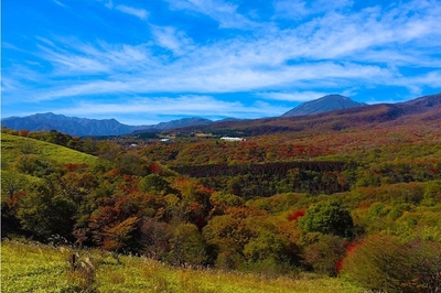 xrCpo1MxaRE6neWFnF4f.jpg?w=940&h=940