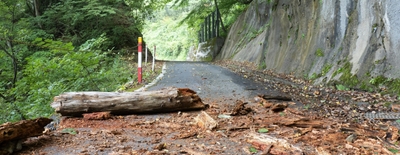 倒木や土砂崩れで道がふさがっている場合