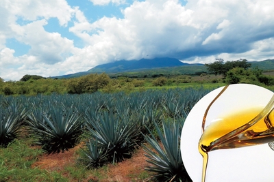 xrfWmCefRfvyplm1DSRz.jpg?w=940&h=940