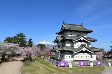 「弘前さくらまつり」2025年4月16日～5月5日開催　 桜と弘前城天守と岩木山を一緒に見る春の景色は今年で最後