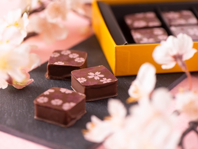 xsSqe6HbEFy7tqGgVLaE.jpg?w=940&h=940