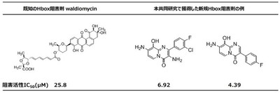 図3　本共同研究で獲得した新規Hbox阻害剤の構造式とヒスチジンキナーゼ（VicK）に対する阻害活性IC50の値。既知のHbox阻害剤のwaldiomycinと比較しています。既知阻害剤より低いIC50は、低濃度で改善された阻害効果があることを意味します。