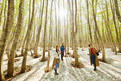 xtAnqWuU80qYuF1LTbDG.jpg?w=940&h=940