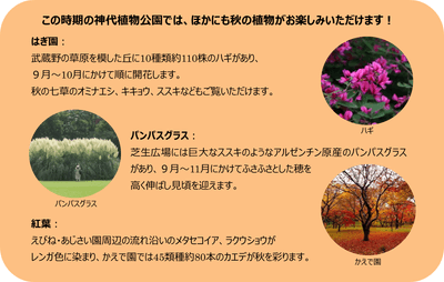 xtWuuZWCG63GoUZhtmb6.png?w=940&h=940