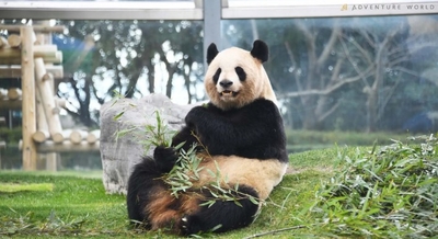 xtck3AXExvFvx00QnDph.jpg?w=940&h=940