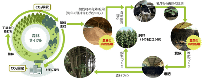 xthSJVOGgWYDfvWwBT6U.png?w=940&h=940