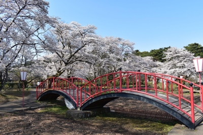 xv1i9WwO1OAxEEMBa2LK.jpeg?w=940&h=940