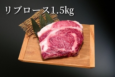 xvWVsSkSyuXS0MVrMMsO.jpg?w=940&h=940