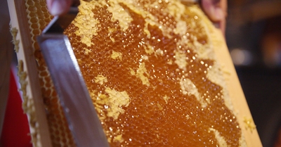 xwpvJnTQTefnQKv4Iga4.jpg?w=940&h=940