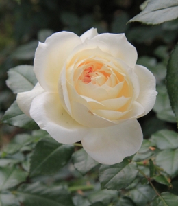 xxoWckXRMAWjgflSM6ay.jpg?w=940&h=940