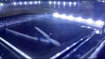霧箱で見える宇宙線の飛跡