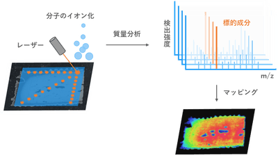 xysSydyPSbN4gD0gML31.png?w=940&h=940