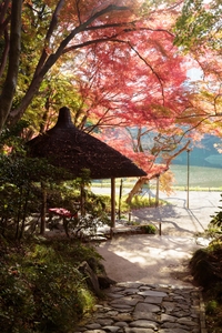 xzrVVe99FCw3vEdsiCrY.jpg?w=940&h=940