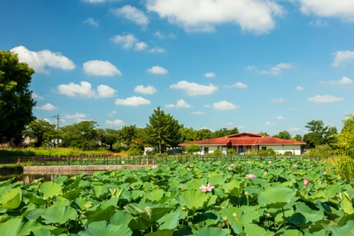 y068YZyJSglXM83nUwcl.jpg?w=940&h=940