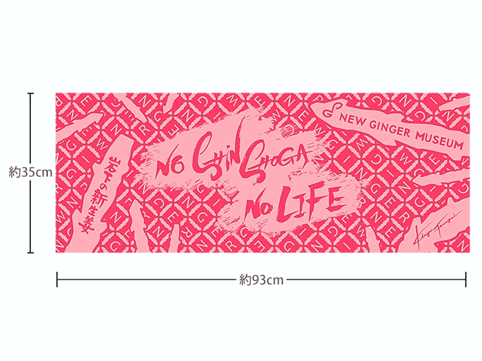 本体サイズ(広げた状態)※2色共通