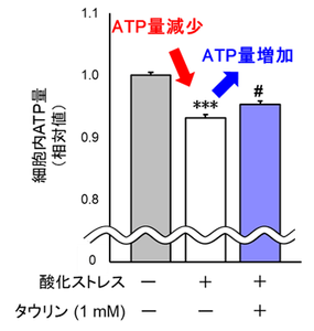 y0rKdGj989HEqqG2ogXL.png?w=940&h=940