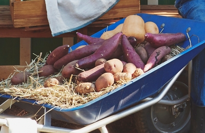 y0we7xNXSe3x9yKFaaZP.jpg?w=940&h=940