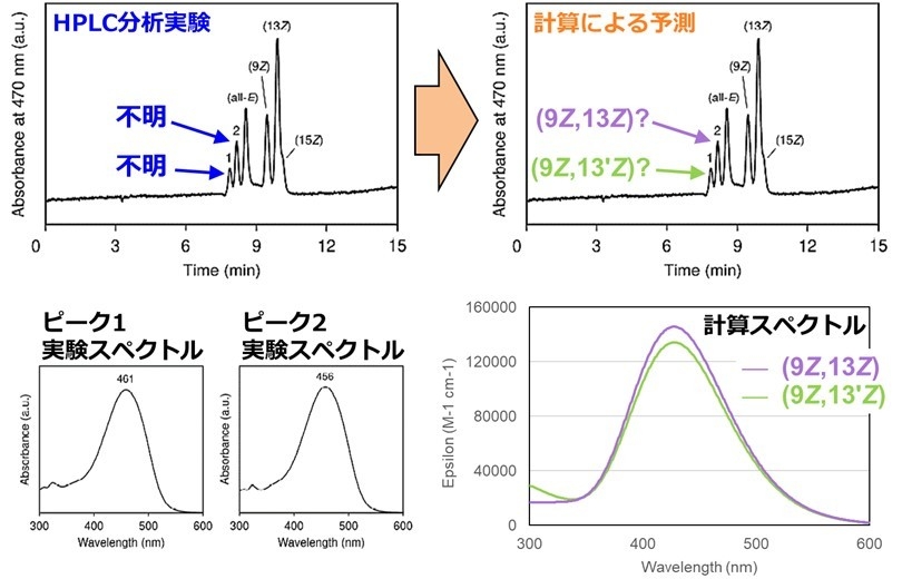 図5: 量子化学計算によるアスタキサンチンHPLC分析実験の未帰属ピークの予測