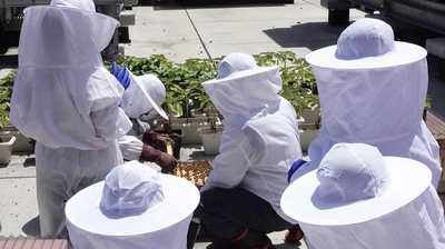 夏休みに親子で体験。都会で学ぶ養蜂とハチミツの世界