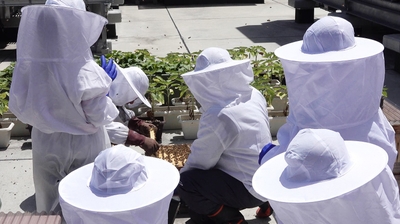 y4D9fJ0OCCmMgvj0JIgD.jpg?w=940&h=940