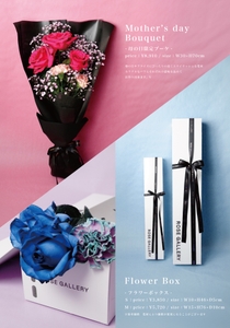 y4DAVwVmJqenDhxUIwWC.jpg?w=940&h=940