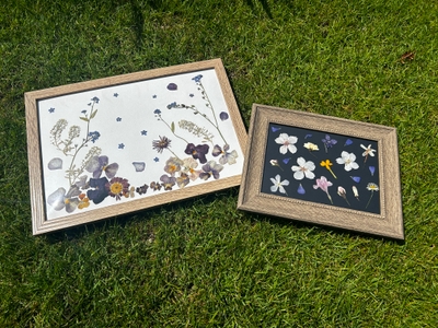 y4FGFRt5YEyBax1Tfj0h.jpeg?w=940&h=940