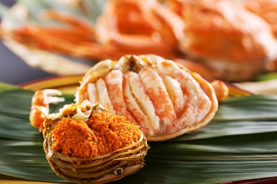 y4UH6KfuYbIn1hLsunmI.jpg?w=940&h=940