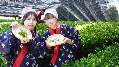 y4h8LClpwwsTx1gS8ANo.jpg?w=940&h=940