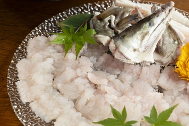 夏休みは家族で！海・肉・ビュッフェ三昧 ～小学生以下はドリンク飲み放題無料！オーシャンテラス夏フェア開催～