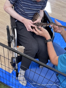 y6njCFvgnrKhqZVDXOm2.jpg?w=940&h=940