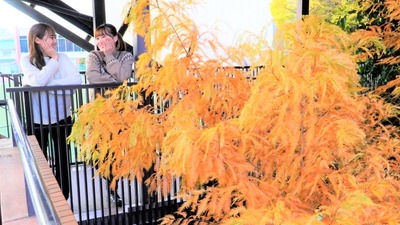 y8c7DoJjeECHtgZuHijQ.jpg?w=940&h=940