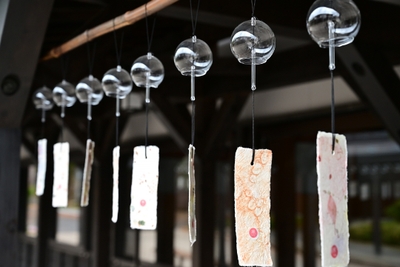 y91ChFYd3CvixxM1RK2w.jpg?w=940&h=940