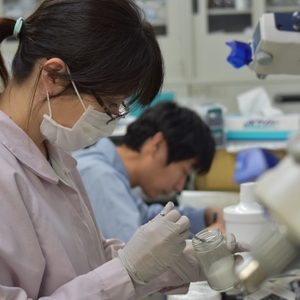 y92WRp56rMn2DVA6k9v9.jpg?w=940&h=940