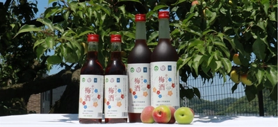 近畿大学附属湯浅農場産の南高梅を使用した「赤ワイン梅酒」　数量限定販売と湯浅町ふるさと納税返礼品として提供