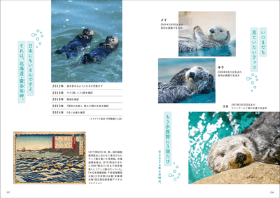 yA3GQS34t397SH7cHow6.png?w=940&h=940