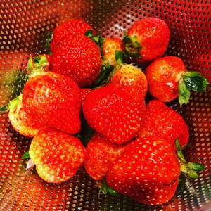 yCtDPbOREqs9Ewu92cPI.jpg?w=940&h=940