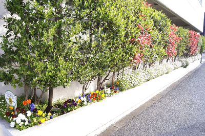 yESvkQMQjsWf3Mg3mQQ2.png?w=940&h=940