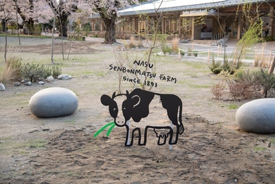 yEV9n4kXYqGqCyUR4mmw.jpg?w=940&h=940