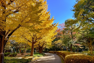 yEc8dpT8tqfz8MGB0EdA.jpg?w=940&h=940