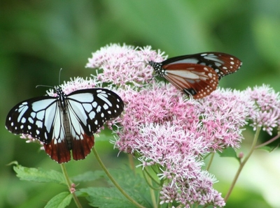 yFWnlSVNWE7TKBYGWNnJ.jpg?w=940&h=940