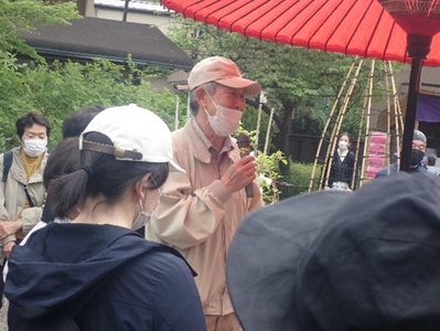 過去の「野草ウォッチング」の様子