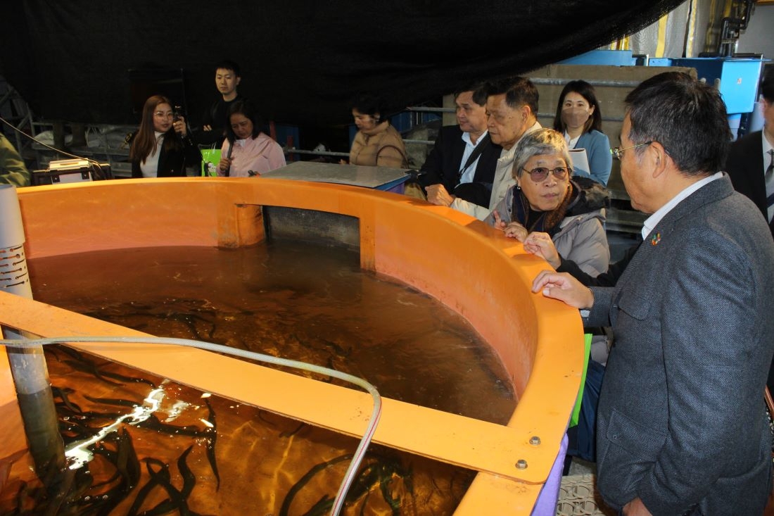 ニホンウナギを養殖している35トン水槽で山本准教授(右端)の説明を聞く一行